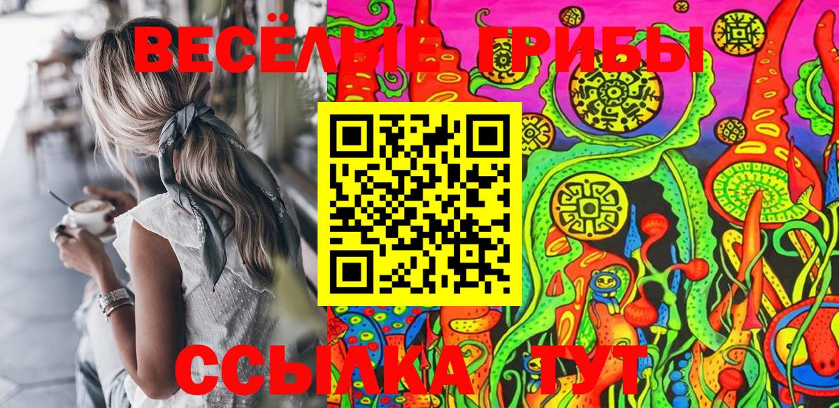 Галлюциногенные грибы Magic Shrooms Камышлов