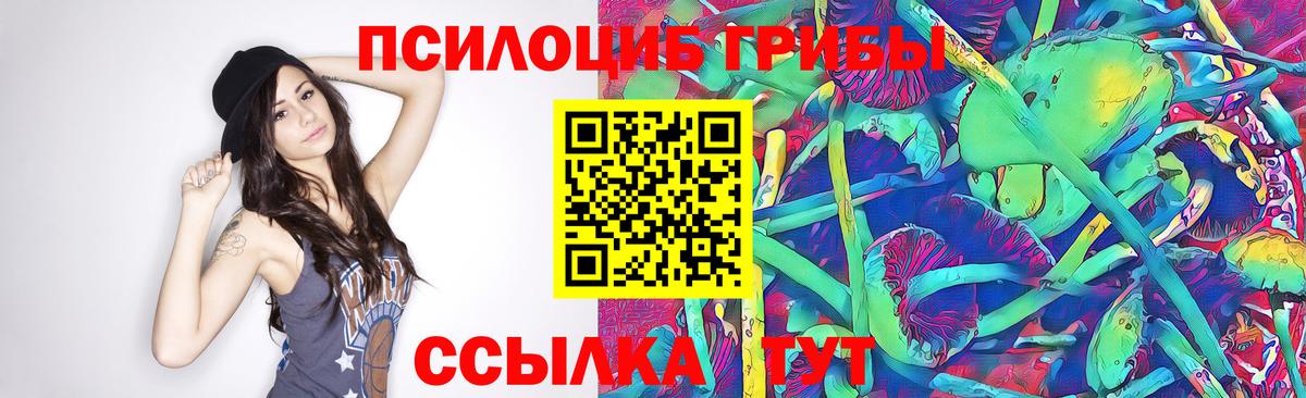 Камышлов  Псилоцибиновые грибы Magic Shrooms  Вход с VPN 